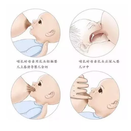 双手搓热后,以宝宝的肚脐为中心,沿着肚脐周边用手掌进行顺时针按摩