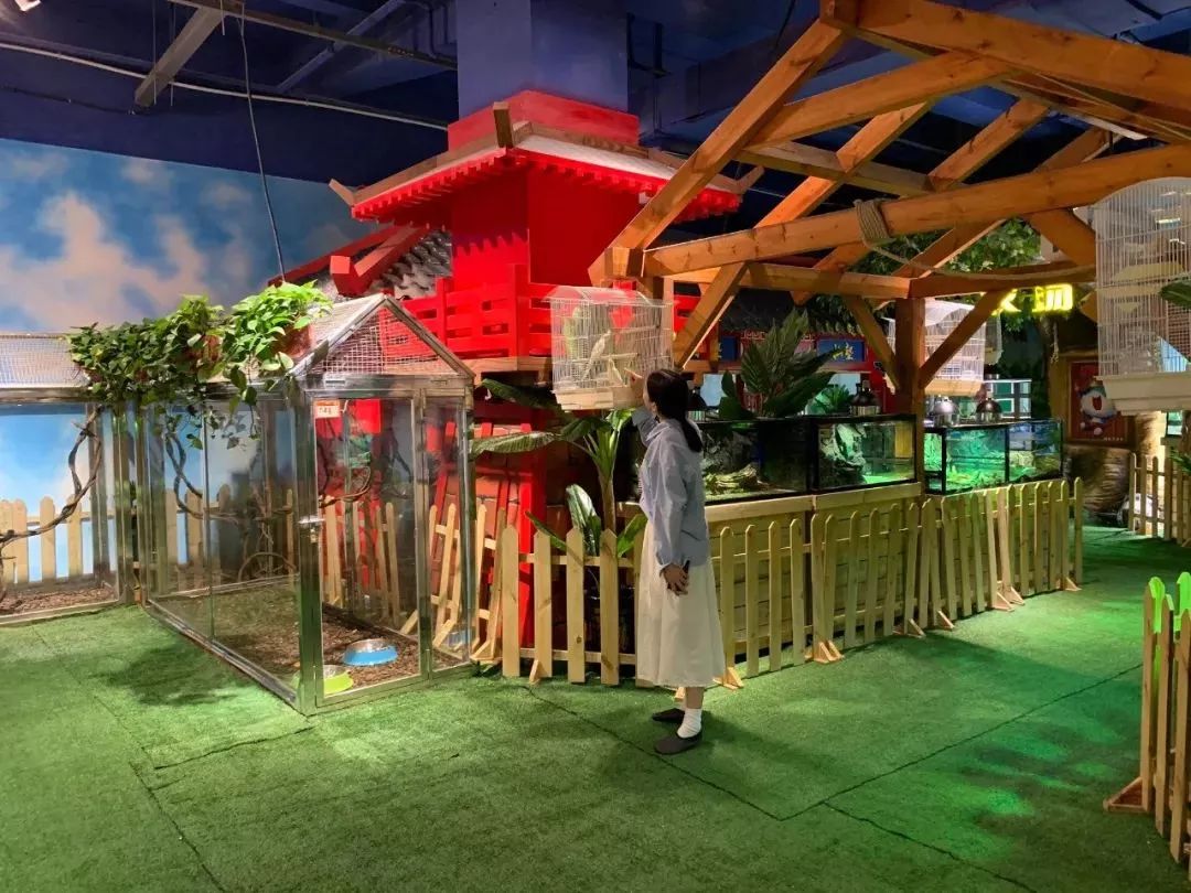 室内动物园超级游乐园郑州又多了一个可以撒欢的好地方