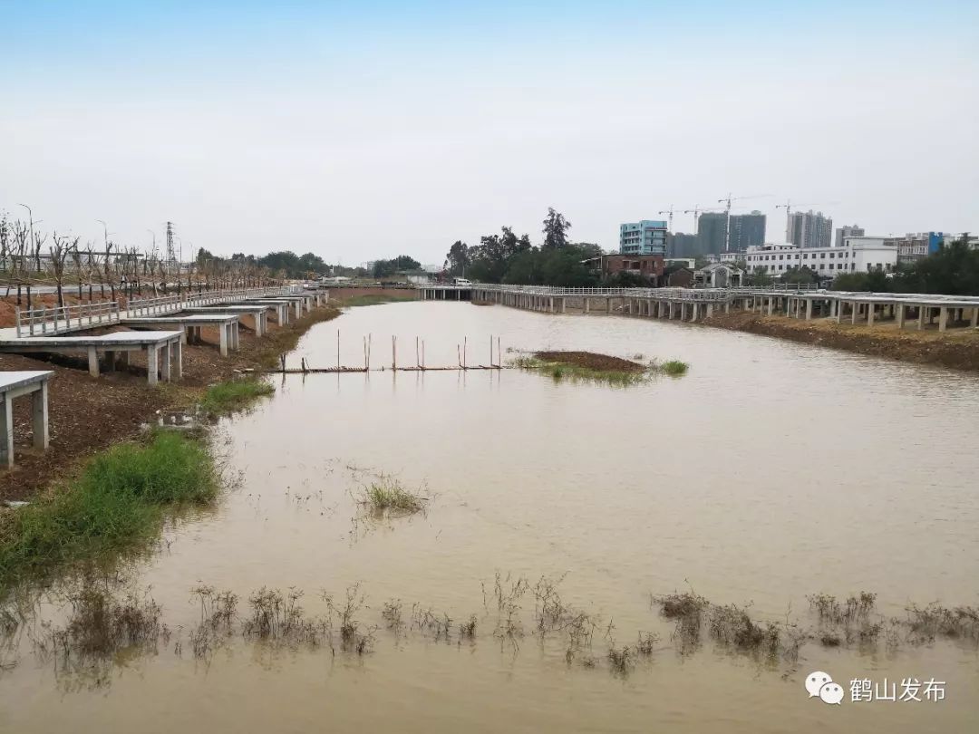 大变样沙坪河又添新景点鹤山街坊赶紧来这新八景打卡