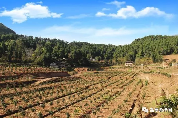 最新规划出炉,盐亭这个地方未来将美成这样