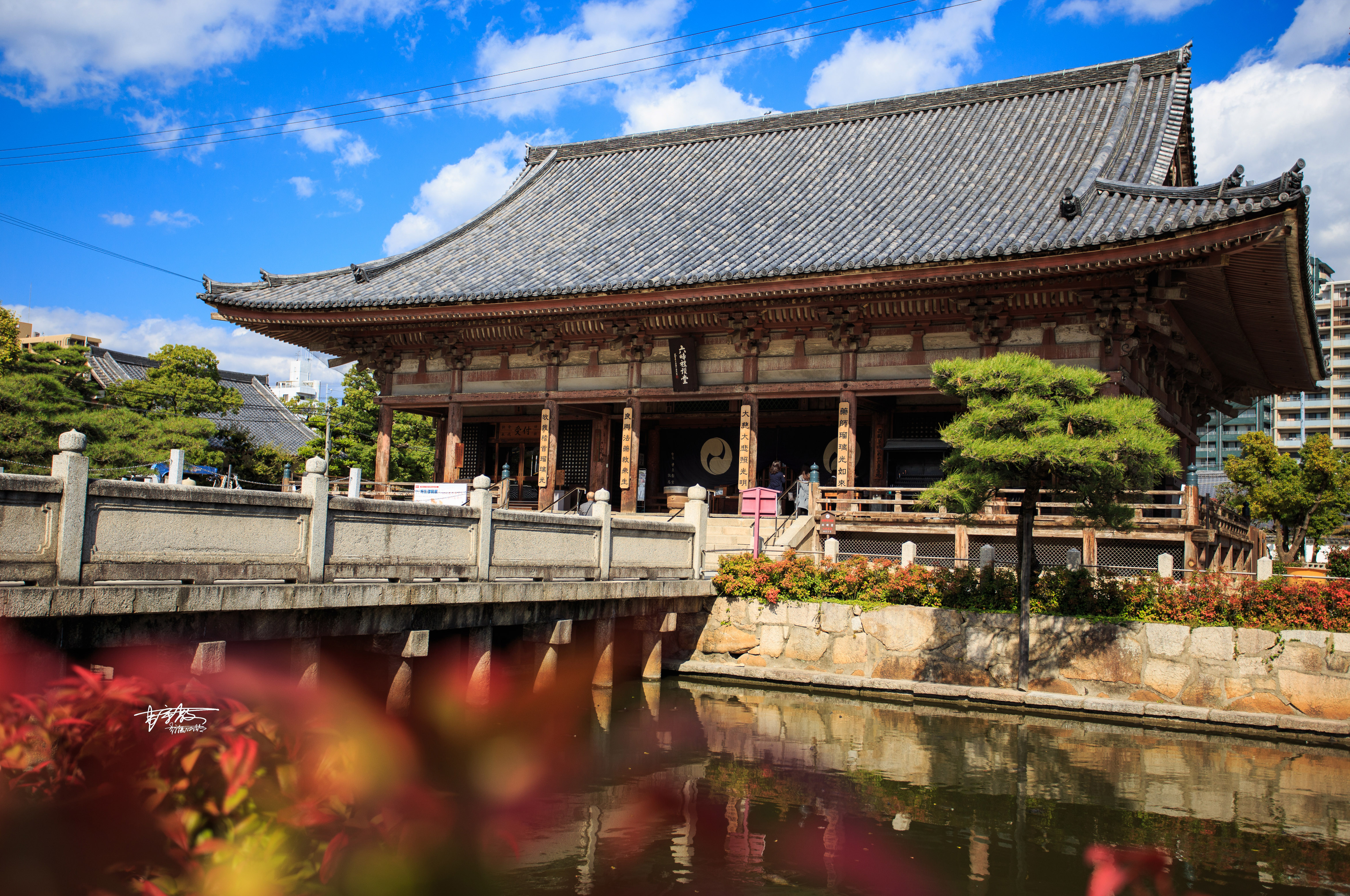 最会玩的通天阁,在日本佛教最早的寺院偶遇秋田犬和游僧