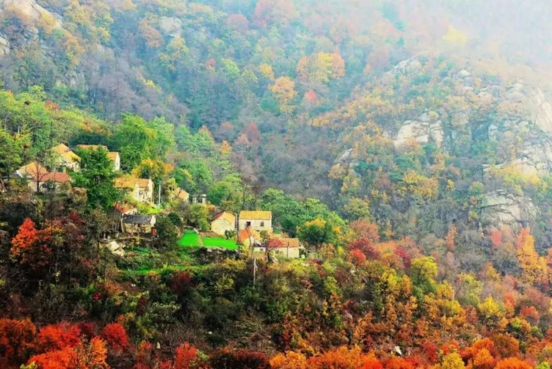 福利 get,这个周末,我们一起去看最美的"枫"景_枫树湾