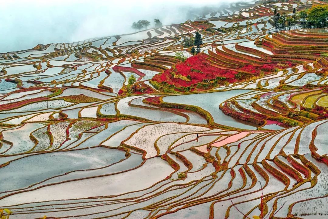 為什麼我想再去一次雲南？ 旅行 第10張