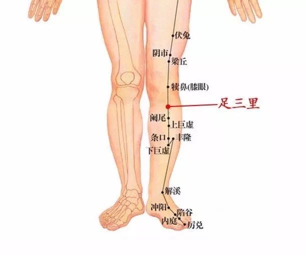 太白——脾经原穴,对脾系统的保健非常关键,按揉,艾灸太白可以补脾