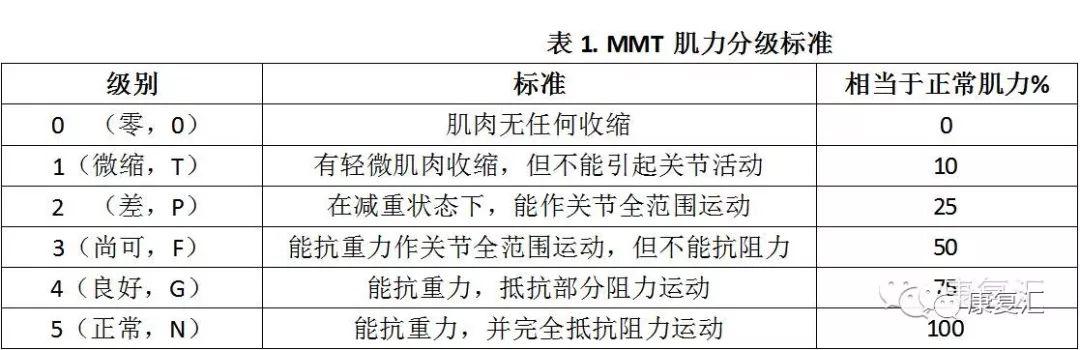 康复手法徒手肌力检查评估详解