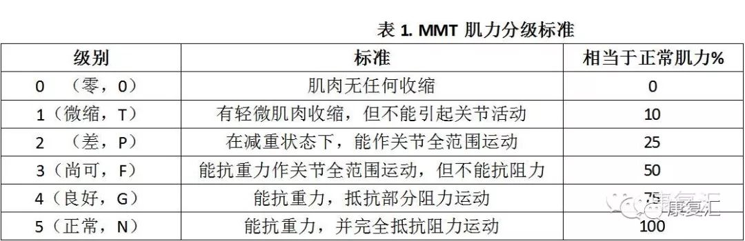 【康复手法】徒手肌力检查评估详解