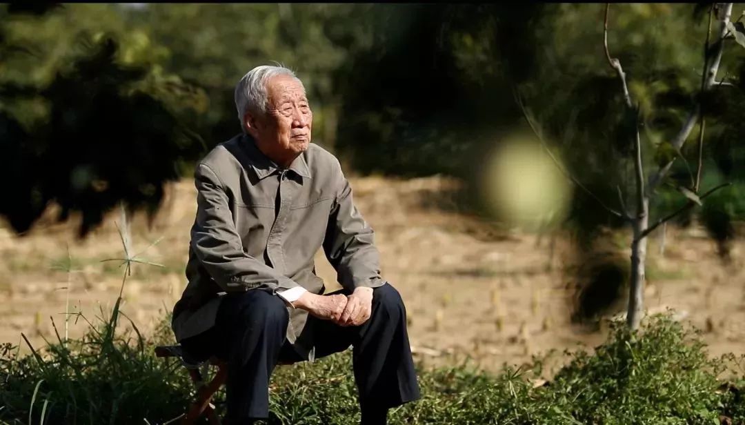 束怀瑞一位苹果院士的70年