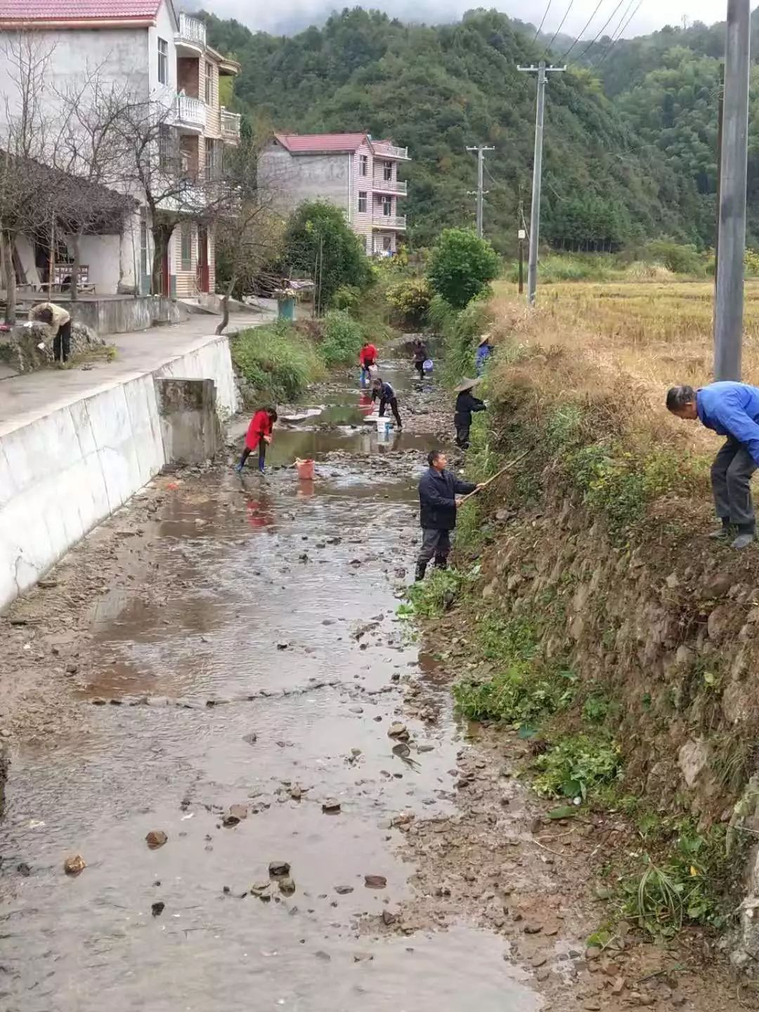 石井张村人口_石井张村(3)