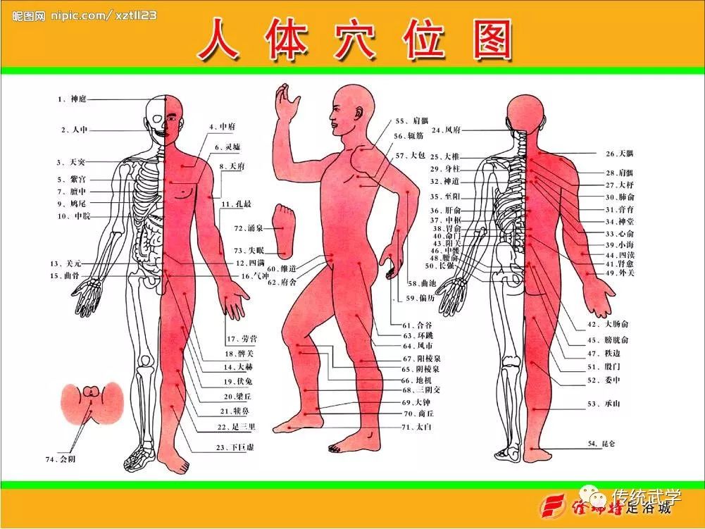 从中医针灸学上知此三十六穴均为人体要害部位,受击后不一定都能致人