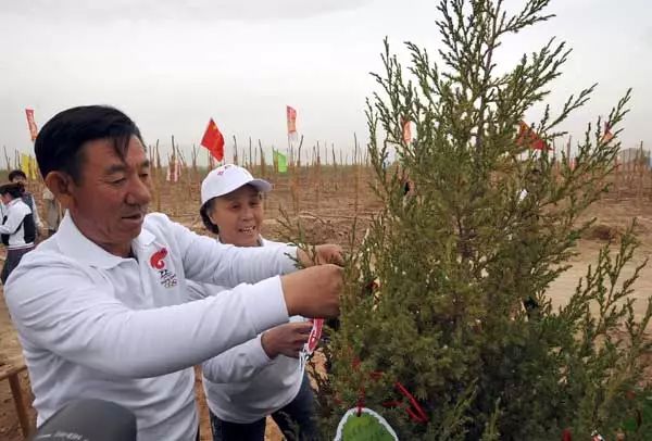 关注前无古人中国快把毛乌素沙漠消灭了