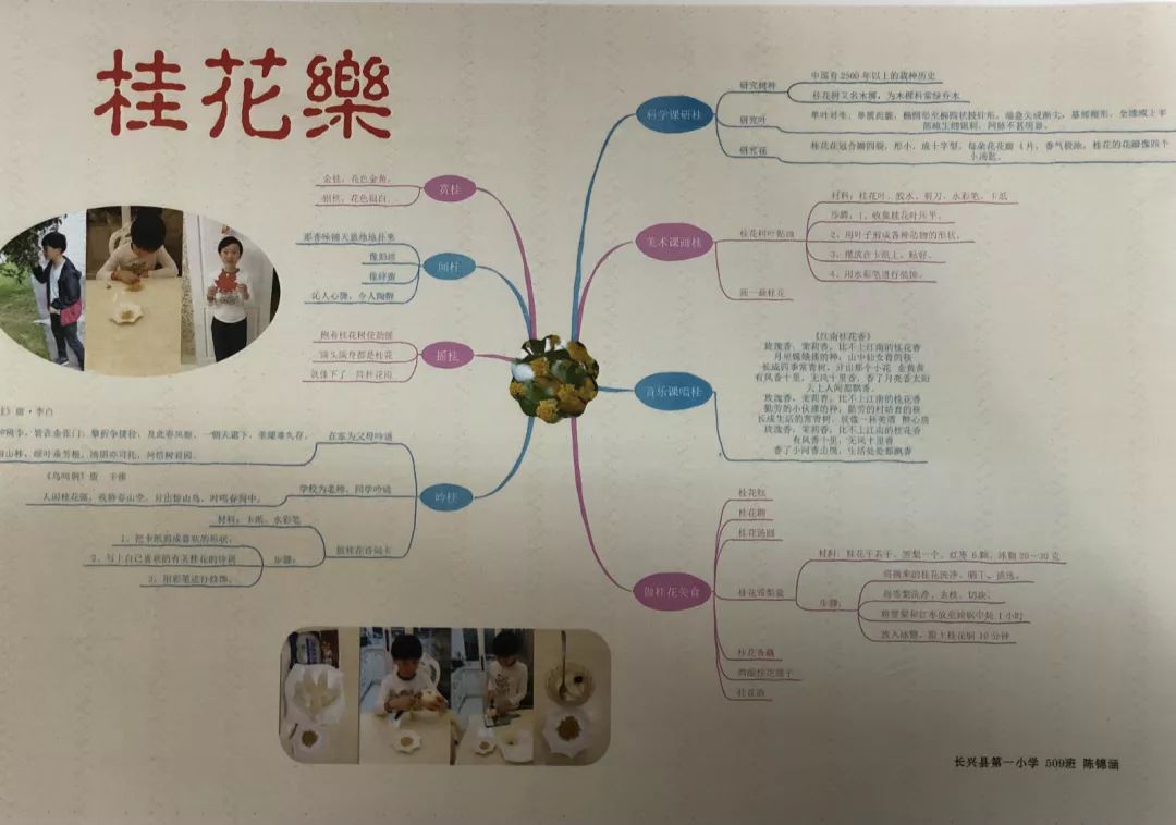 一小故事给孩子心中留住永远的花香长兴一小桂花约主题式研究性学习