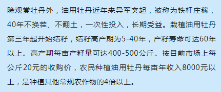 国色天香简谱_国色天香张晓棠简谱