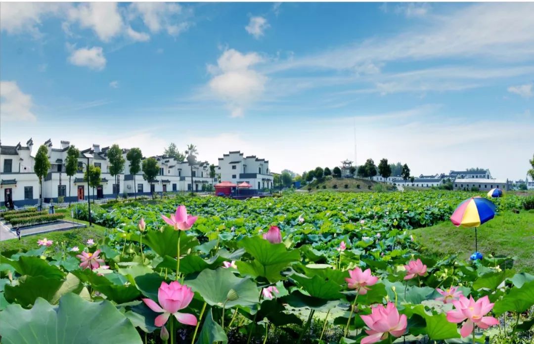 人口和计划生育基层群众自治示范村