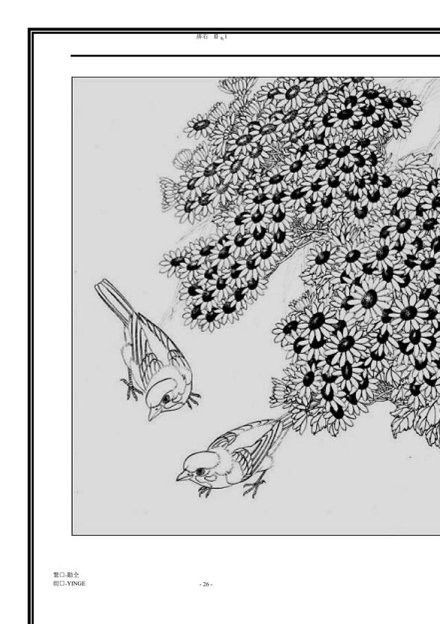 工笔画花鸟图白描干货没事可以临摹下收藏吧