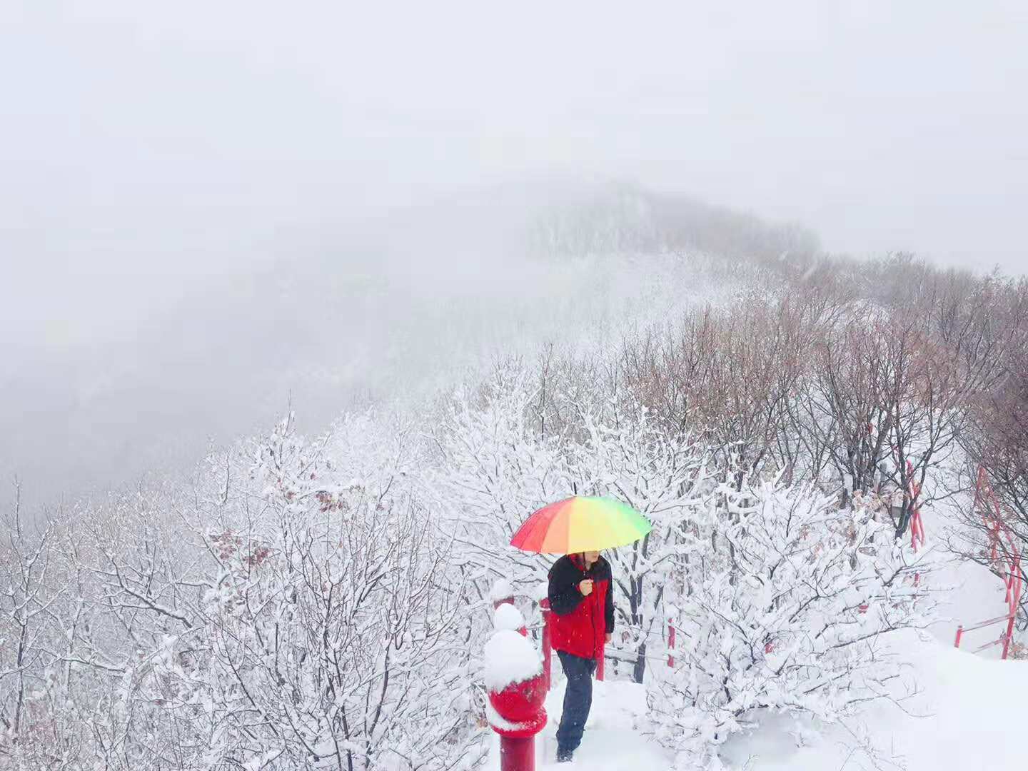 北方雪景怡人千里冰封万里雪飘美景