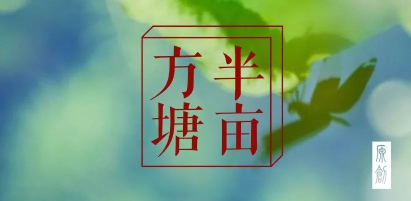 微分享半亩方塘第24期丨胡青松父子多年