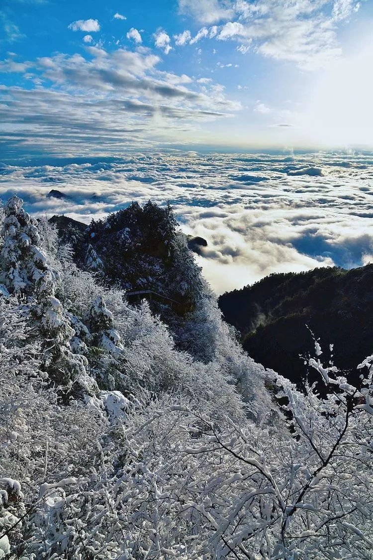 美翻了~巴山大峡谷的第一场雪