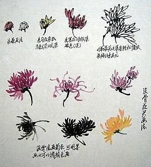 写意花鸟画入门菊的画法