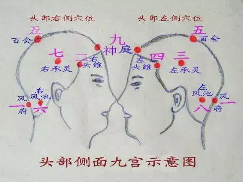 头部九宫穴位按摩有奇效,有效防治心脑血管疾病