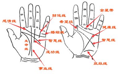 手相算命从手指预测运气脾性