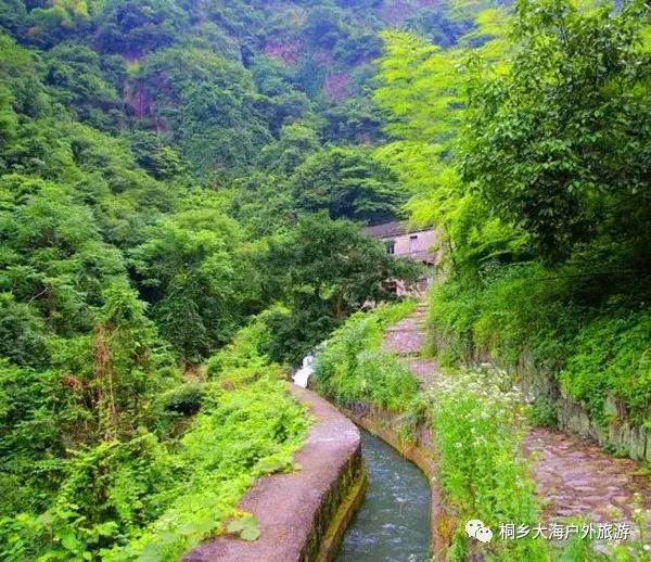 『金秋古道行』11月17日,稽东吴越,秋徒绍兴雪窦岭古道,寻觅幽幽深谷