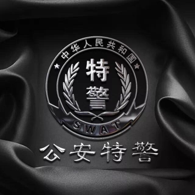 头像| 全军种,武警和警察徽章元素图片_公安