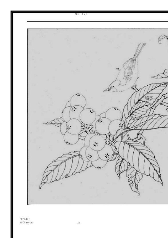 工笔画-花鸟图(白描)干货 没事可以临摹下 收藏吧!