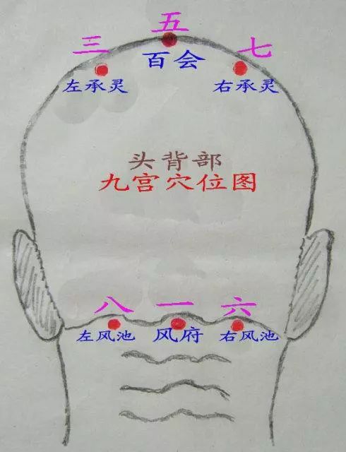 头部九宫穴位按摩有奇效,有效防治心脑血管疾病