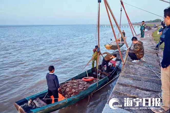 定了！海寧這12個村躋身3A級景區培育名單！ 旅行 第10張