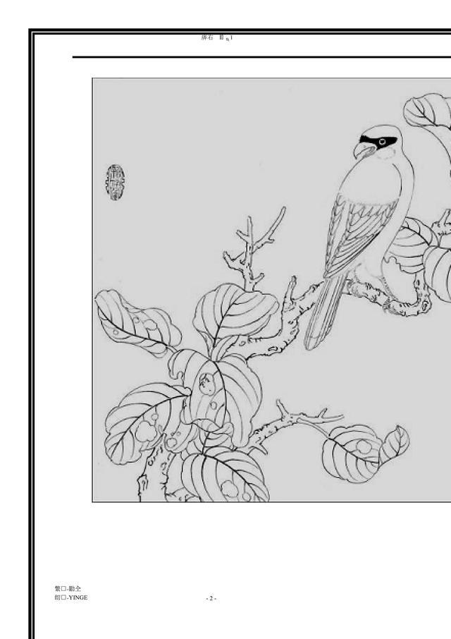 工笔画-花鸟图(白描)干货 没事可以临摹下 收藏吧!