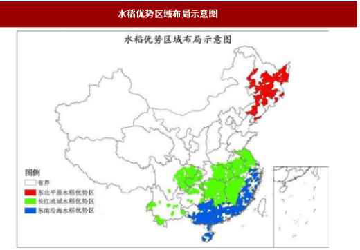 海水稻成功收获中国大米行业迎来新的发展契机