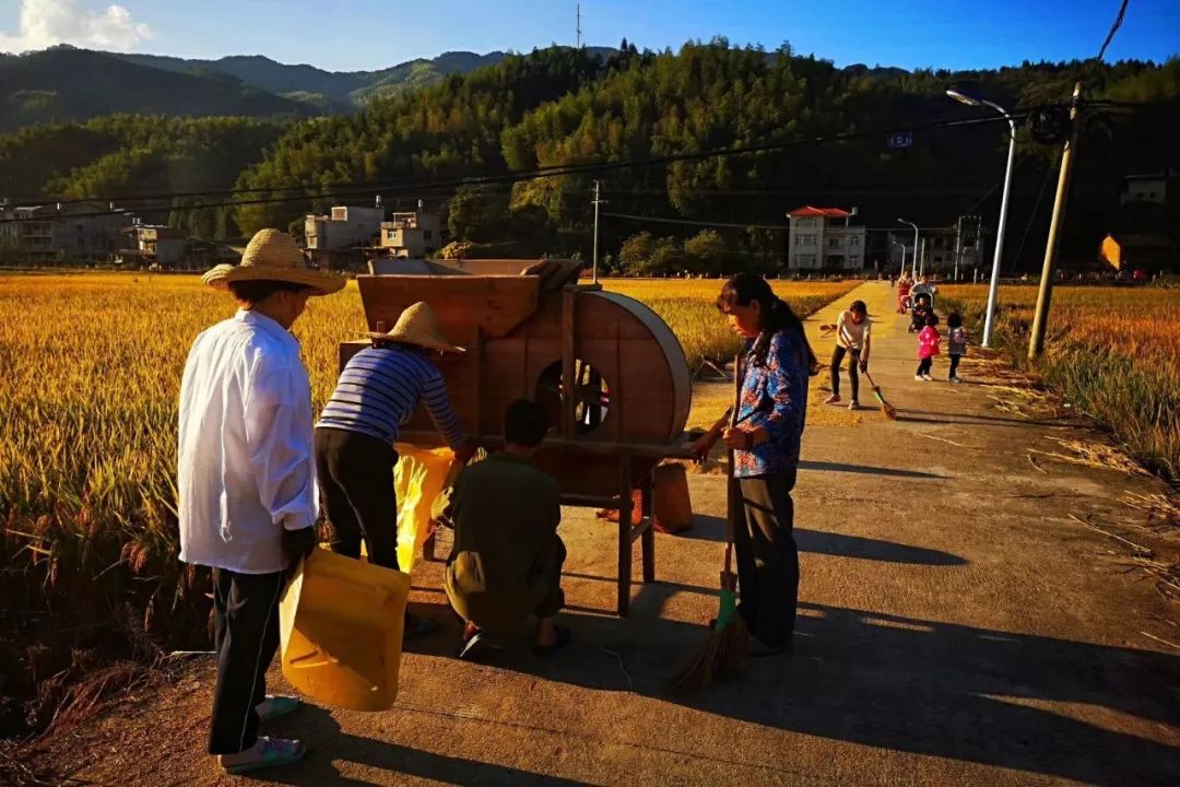 省级文明乡建瓯龙村新农村建设棒棒哒