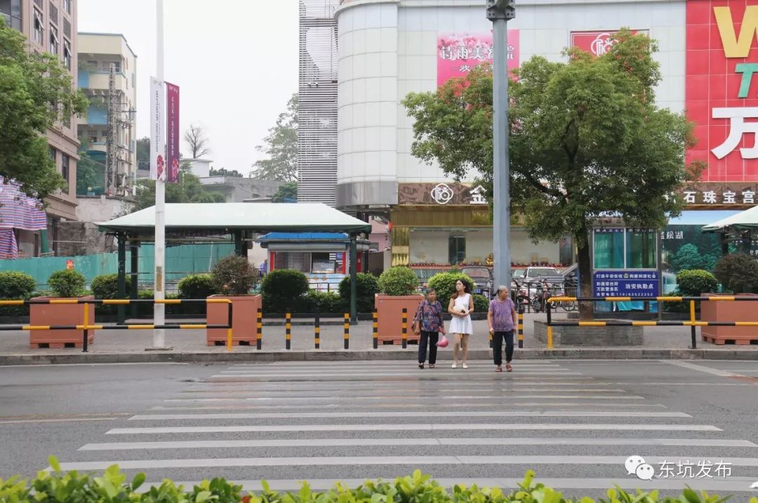 今天坑姐就和交警一起来到东兴中路万胜广场路段没有红绿灯的斑马线前