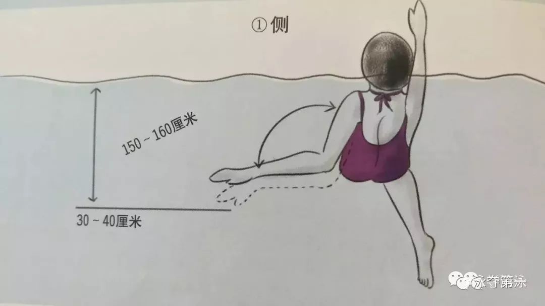 仰泳的划水要领_手掌