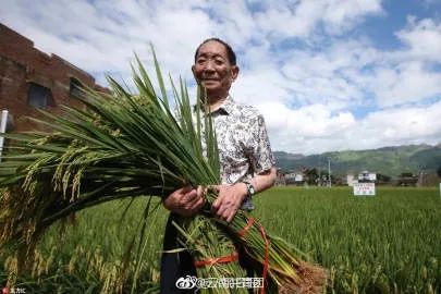 袁隆平，非洲农民心中的良师