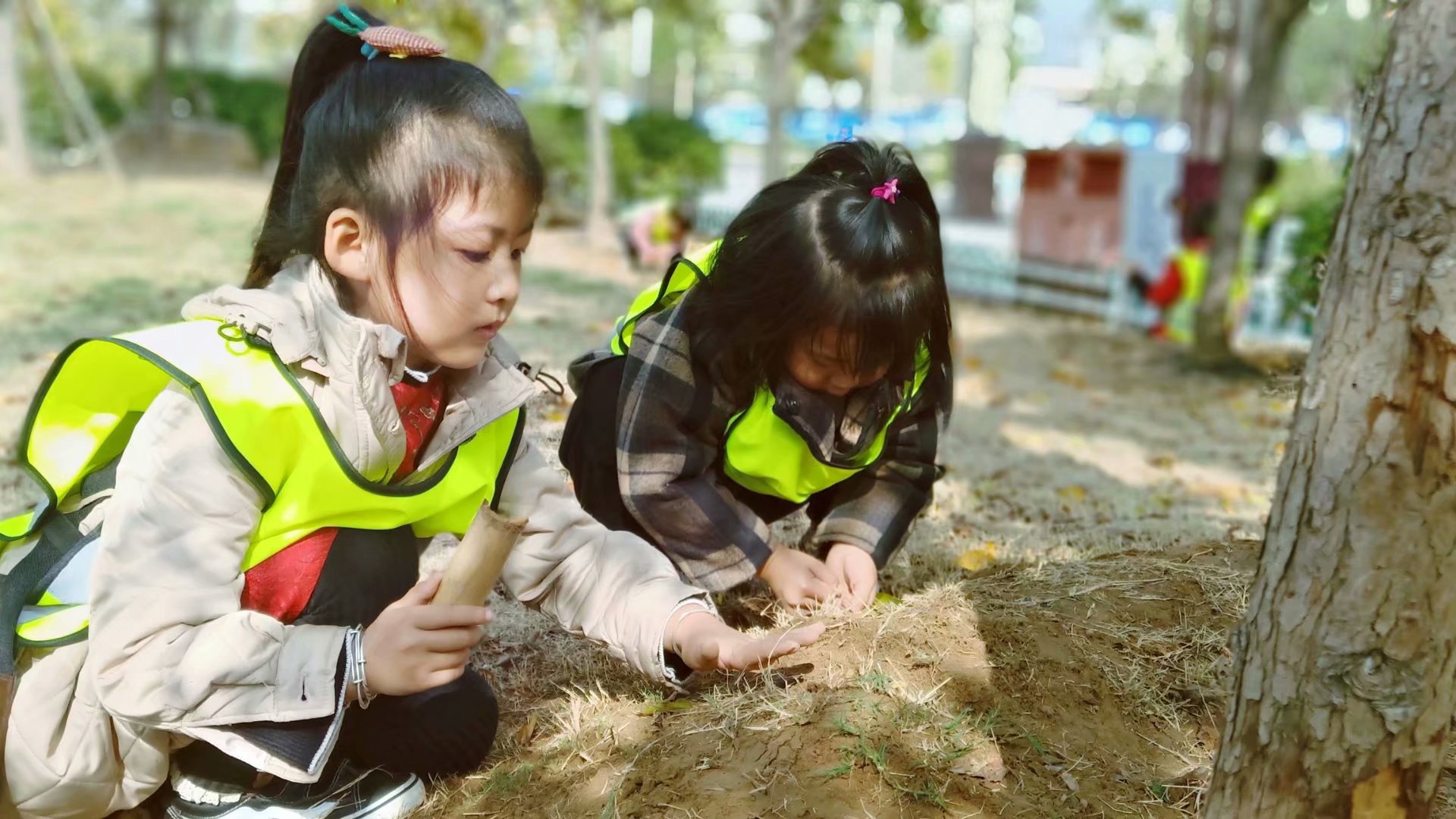 【云朵森林幼儿园】一周生活小记