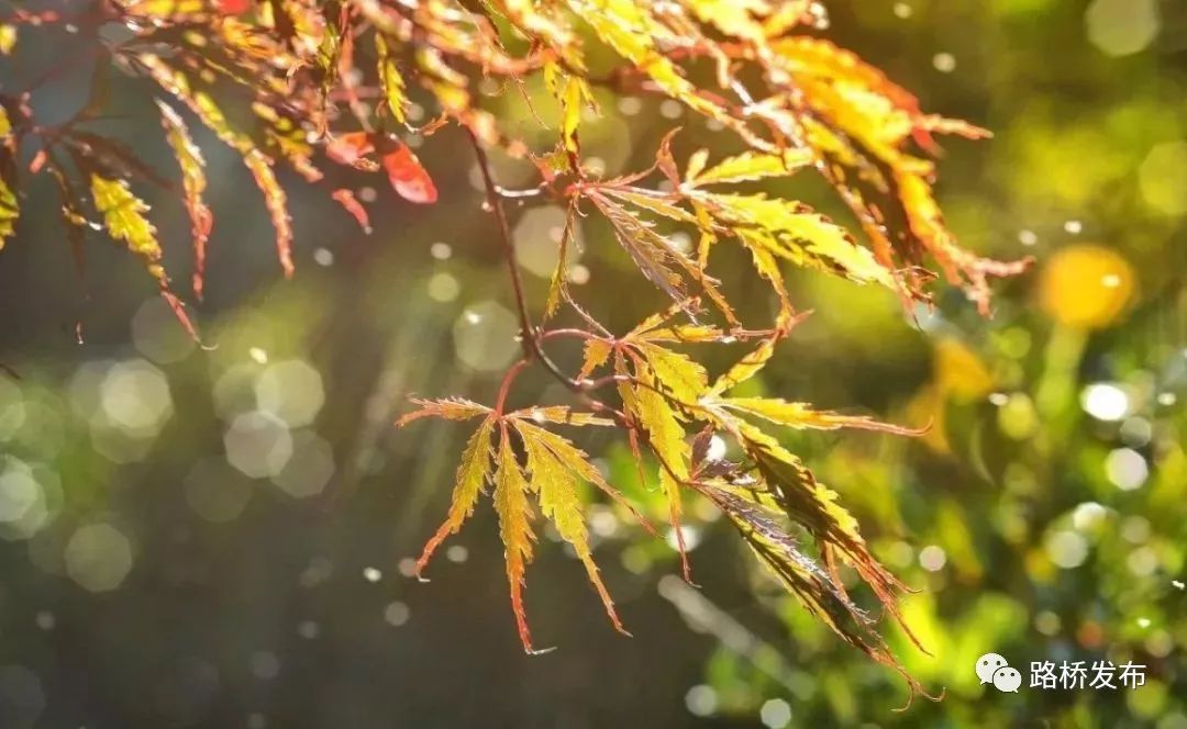 马拉松当天下不下雨?最新天气情况来了!