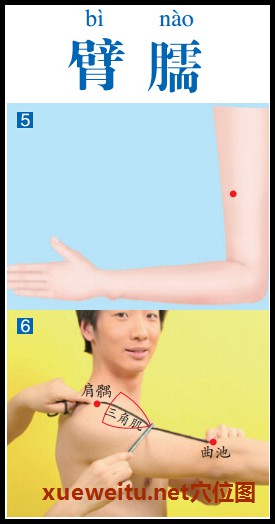 臂臑穴准确位置图功效作用和针刺艾灸按摩推拿法