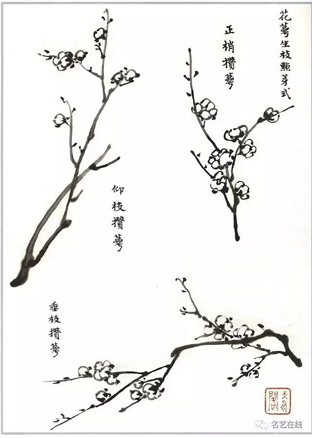 芥子园画谱——《梅谱》,画梅必读