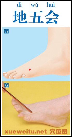 地五会穴准确位置图功效作用和针刺艾灸按摩推拿法