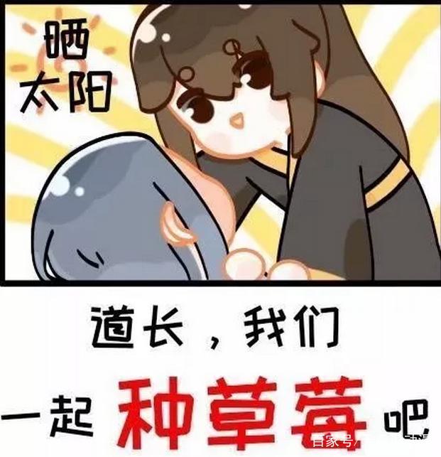 魔道祖师薛晓日常发糖洋洋狂撩晓星尘谁摘我就娶谁