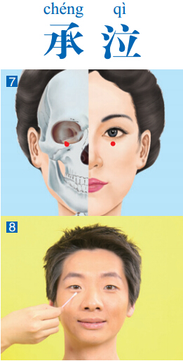 承泣穴准确位置图功效作用和针刺艾灸按摩推拿法