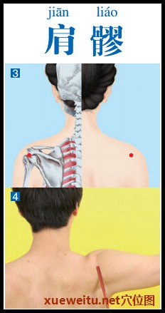 肩髎穴准确位置图功效作用和针刺艾灸按摩推拿法