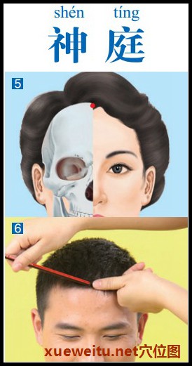 神庭穴准确位置图功效作用和针刺艾灸按摩推拿法