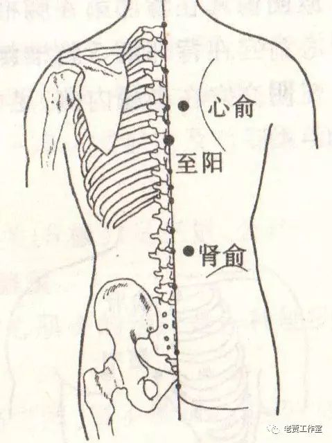 周日健康养生152 24,健忘症穴位按摩(重播)_心俞