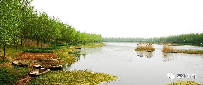 利辛有条河又叫"运粮河,跟这位历史名人有关!_芡河