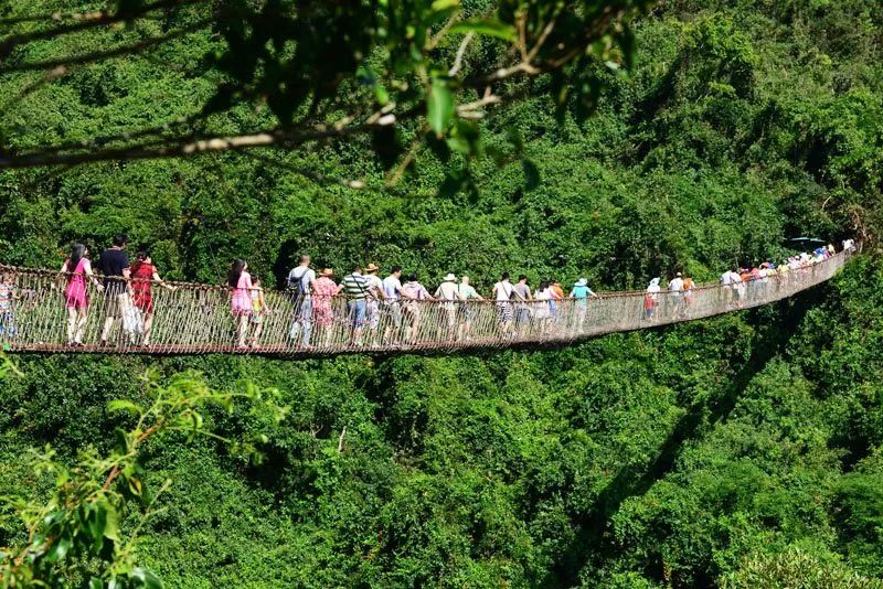 2019年:森林旅游成为休闲度假发展新风口