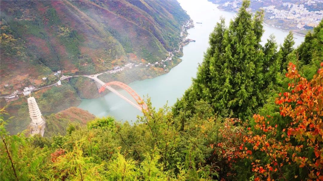 行摄巫山红叶 年年都有花版样