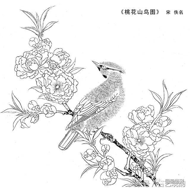 宋|高清工笔画小品白描稿40幅