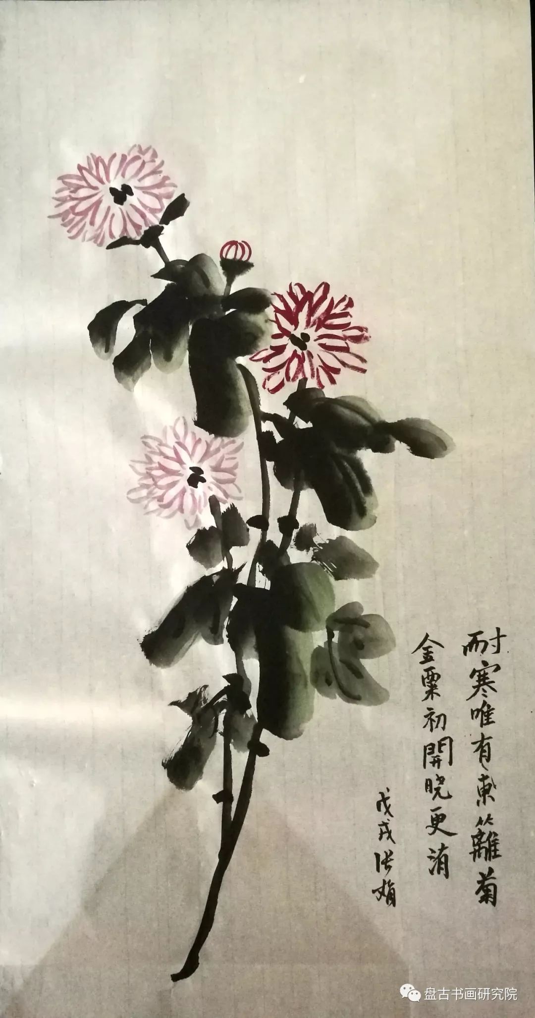 晓照教国画写意菊花的布局以及创作一